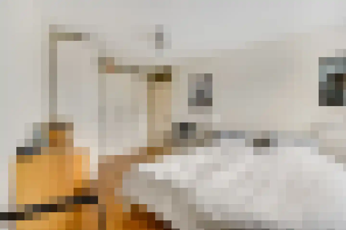 Abdis Adamastraat 56 Roermond thumbnail 24