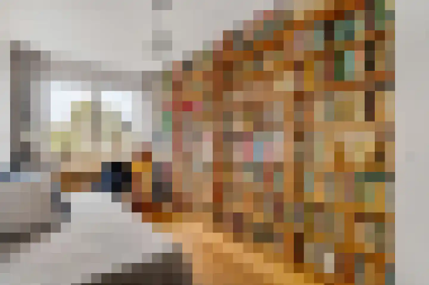Abdis Adamastraat 56 Roermond thumbnail 25