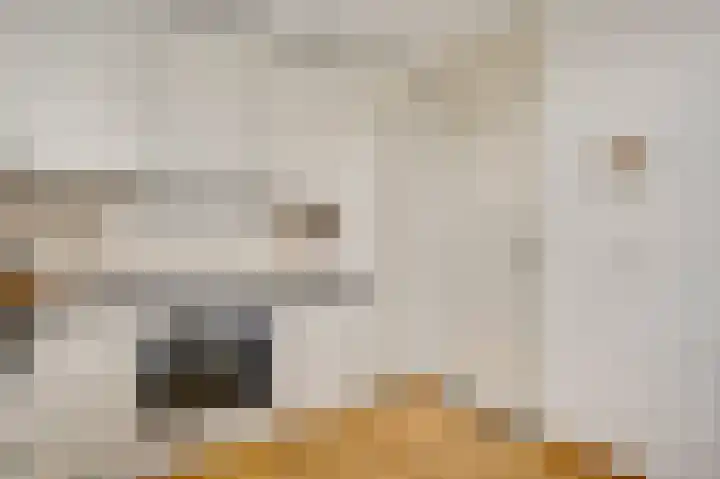 Abdis Aleydisstraat 55 Roermond thumbnail 20