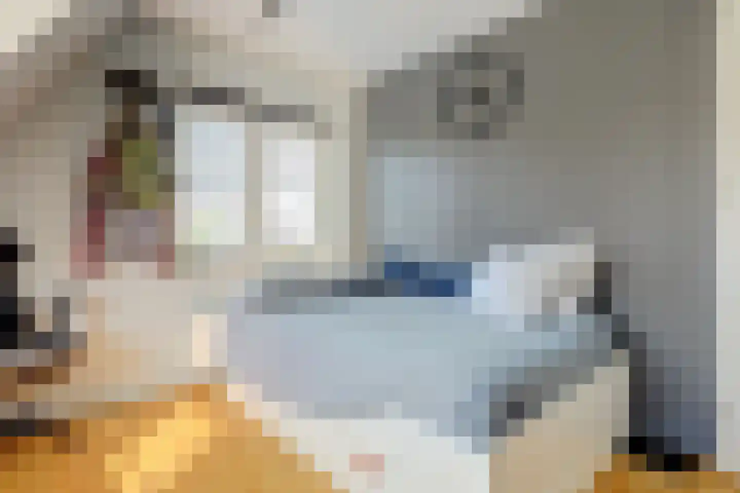 Abdis Clarahof 2 Den Haag thumbnail 26