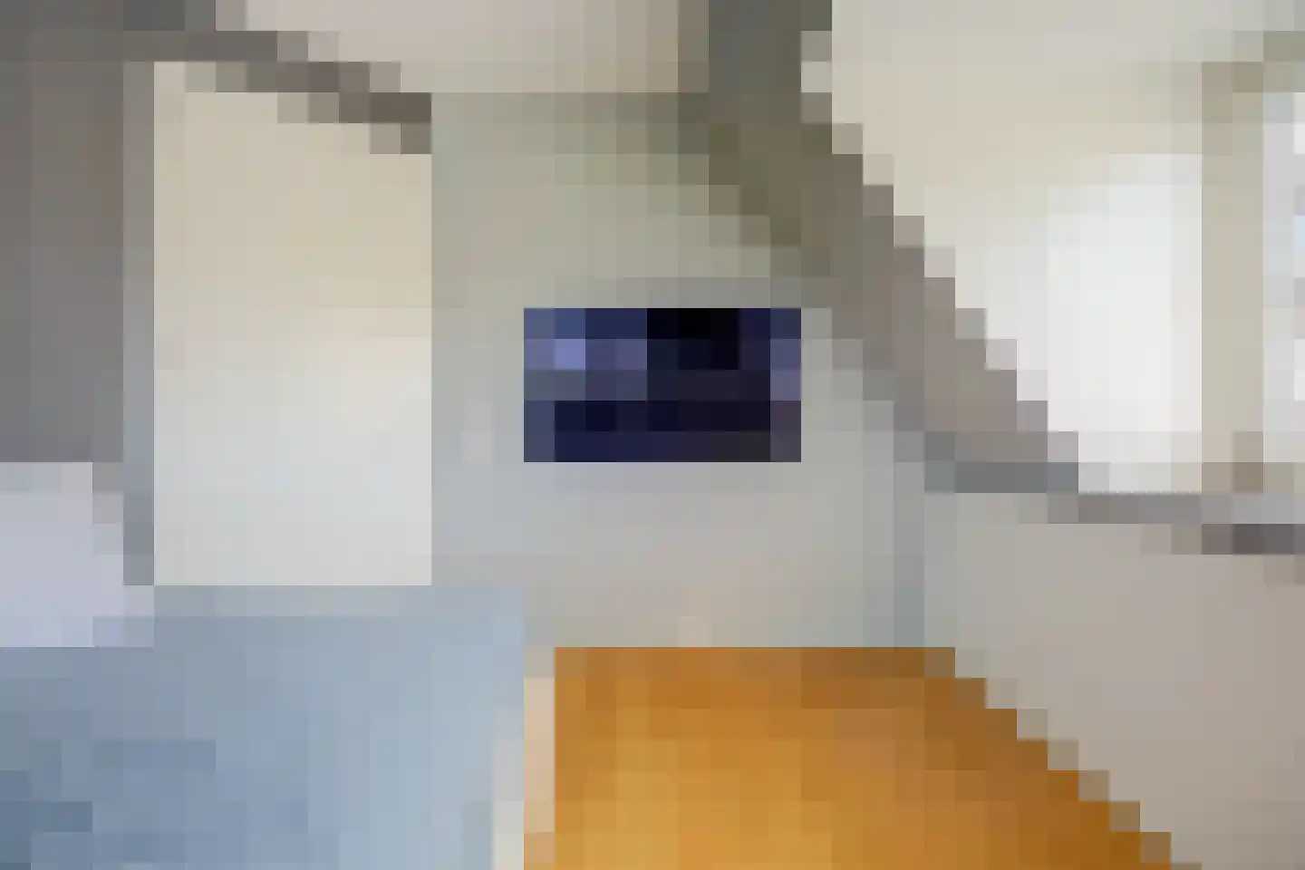 Abdis Clarahof 2 Den Haag thumbnail 27