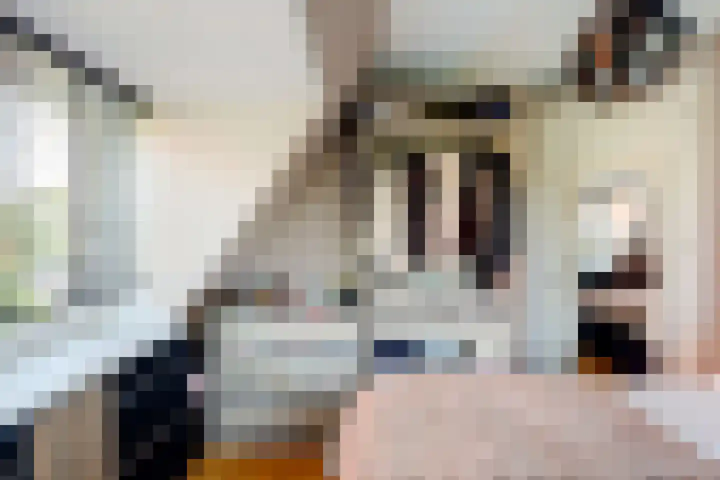 Abdis Clarahof 2 Den Haag thumbnail 30