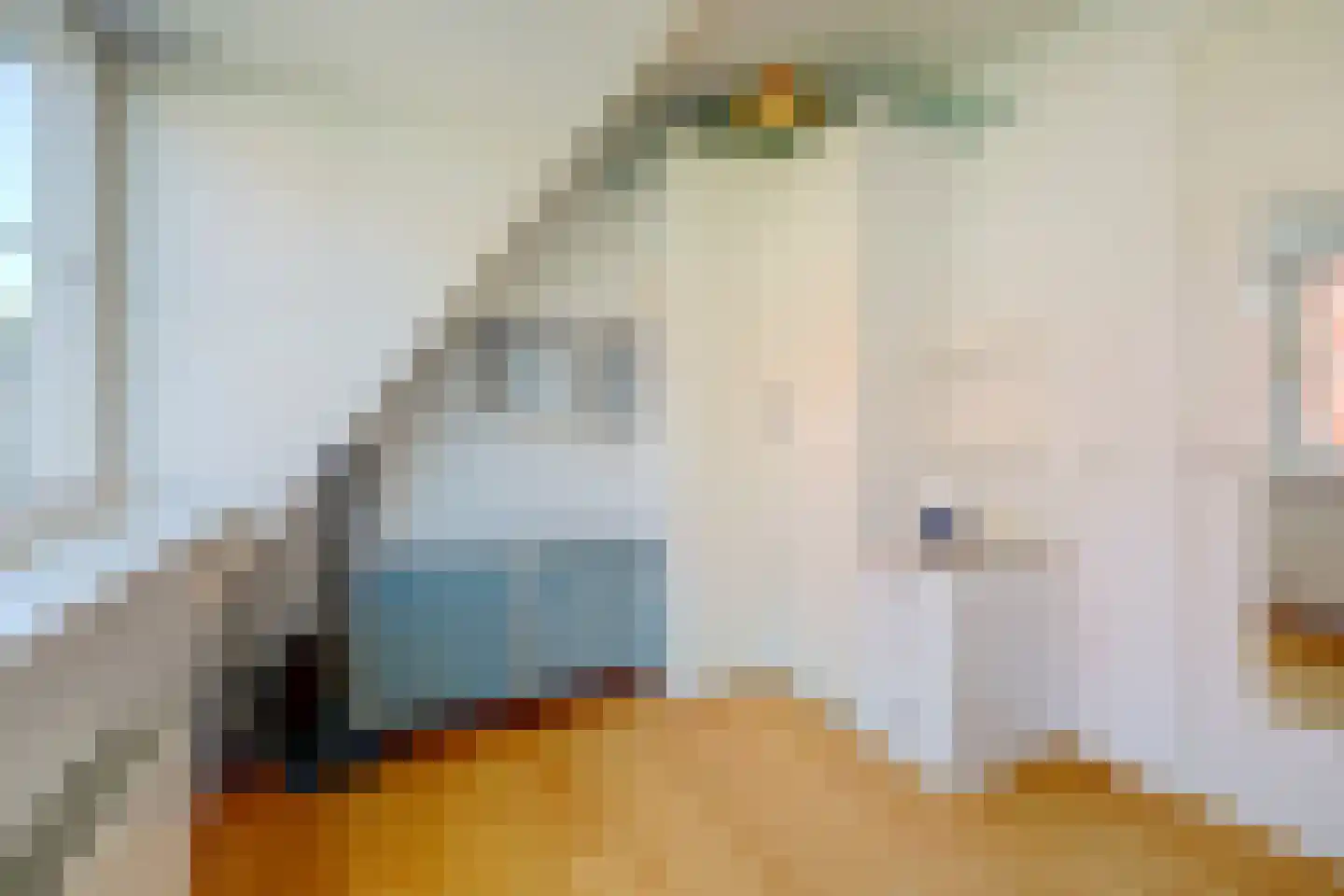 Abdis Clarahof 2 Den Haag thumbnail 42