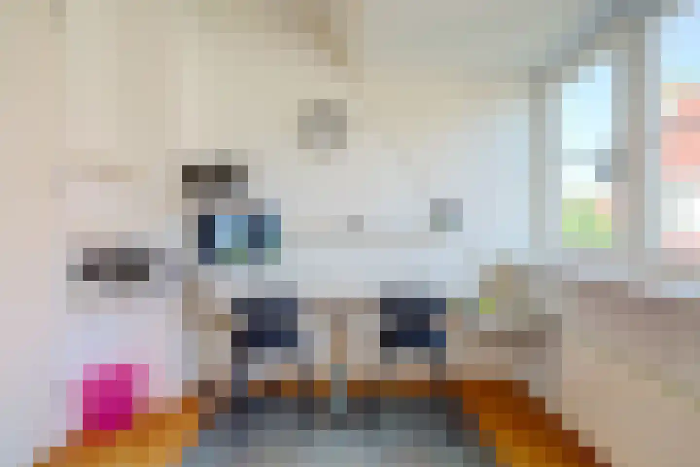 Abdis Clarahof 2 Den Haag thumbnail 43