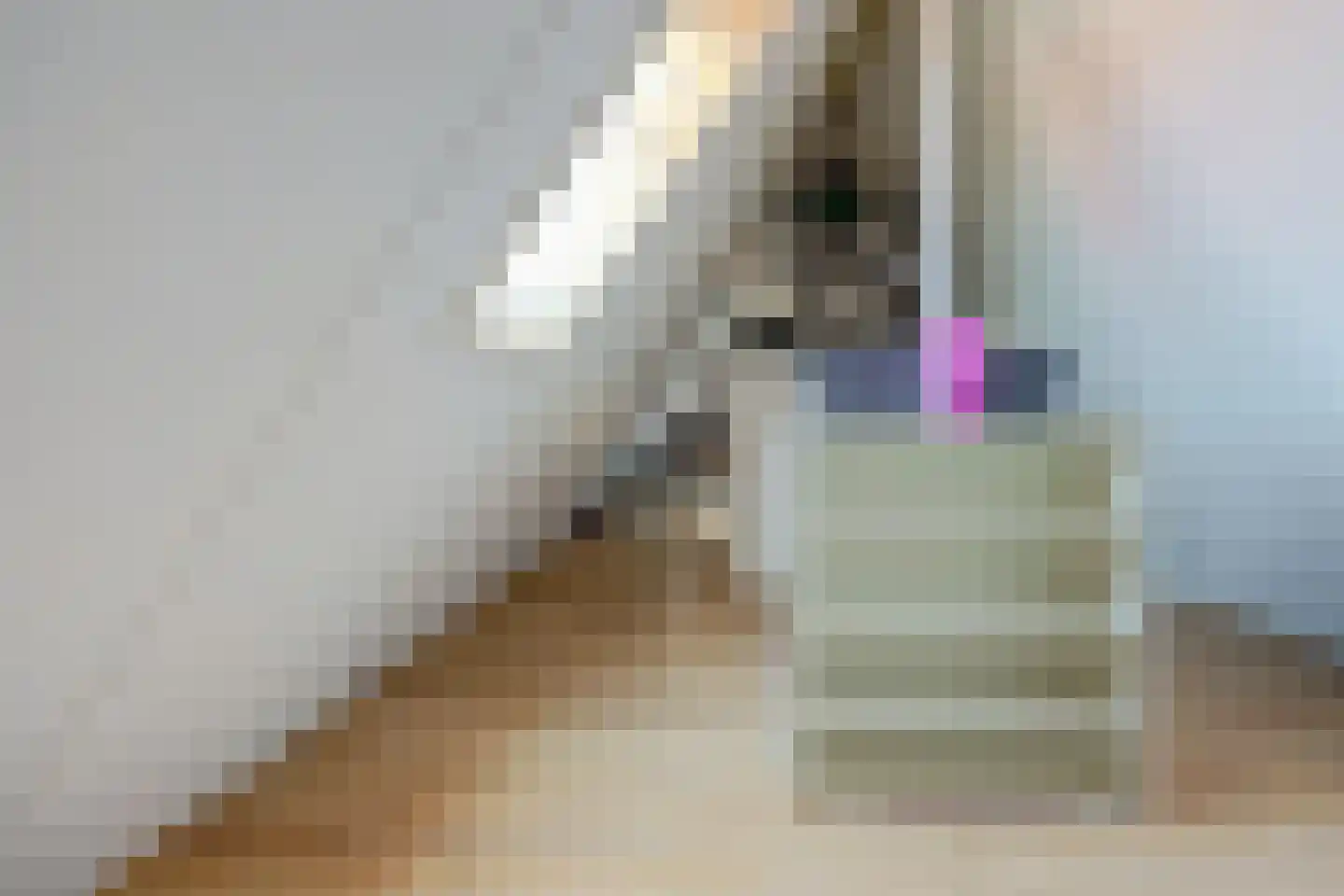 Abdis Clarahof 2 Den Haag thumbnail 53