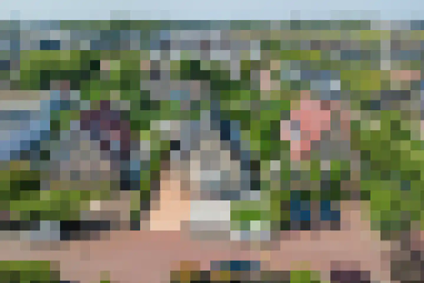 Abdis Clarahof 2 Den Haag thumbnail 78