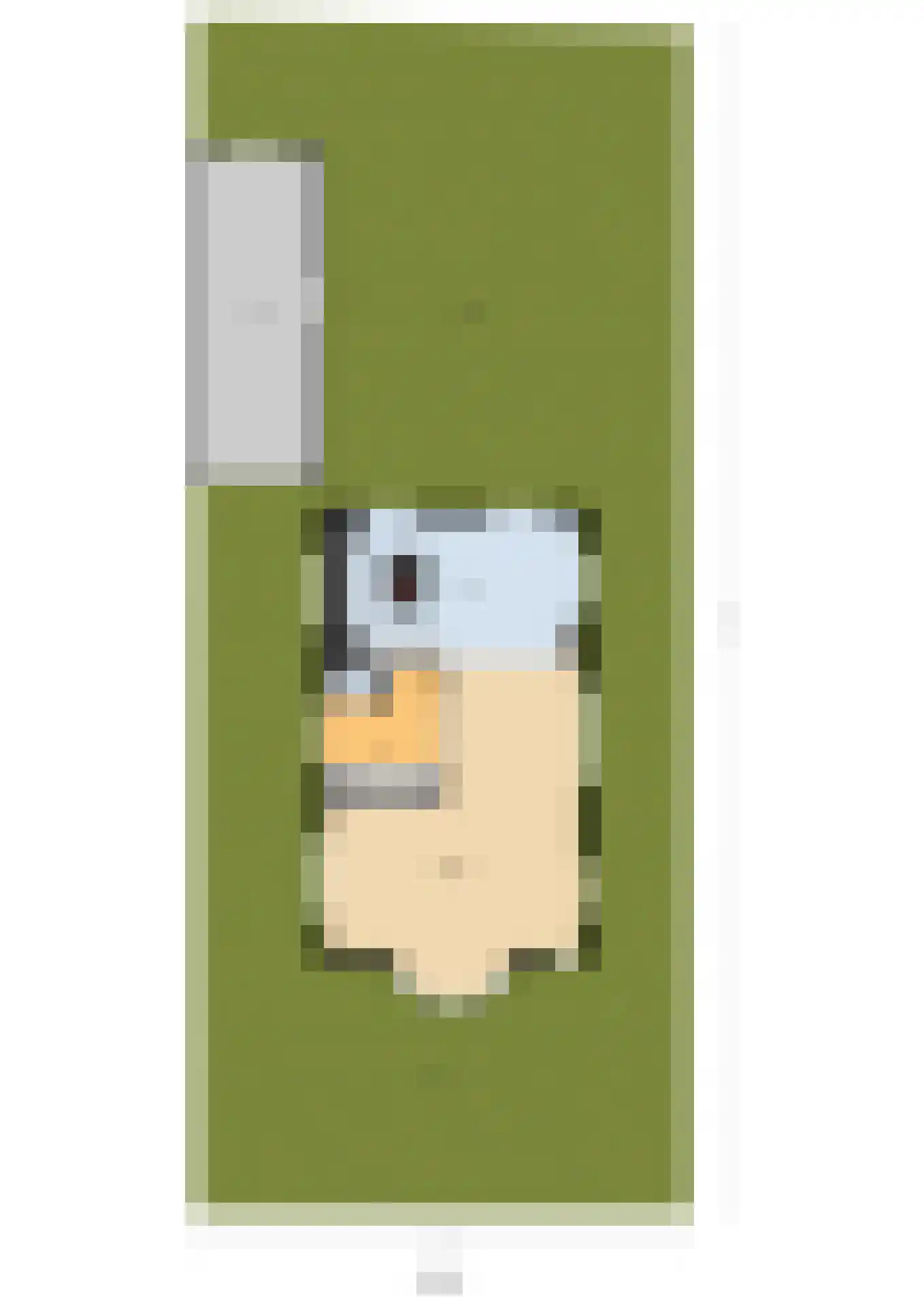 Abdis Clarahof 2 Den Haag thumbnail 83