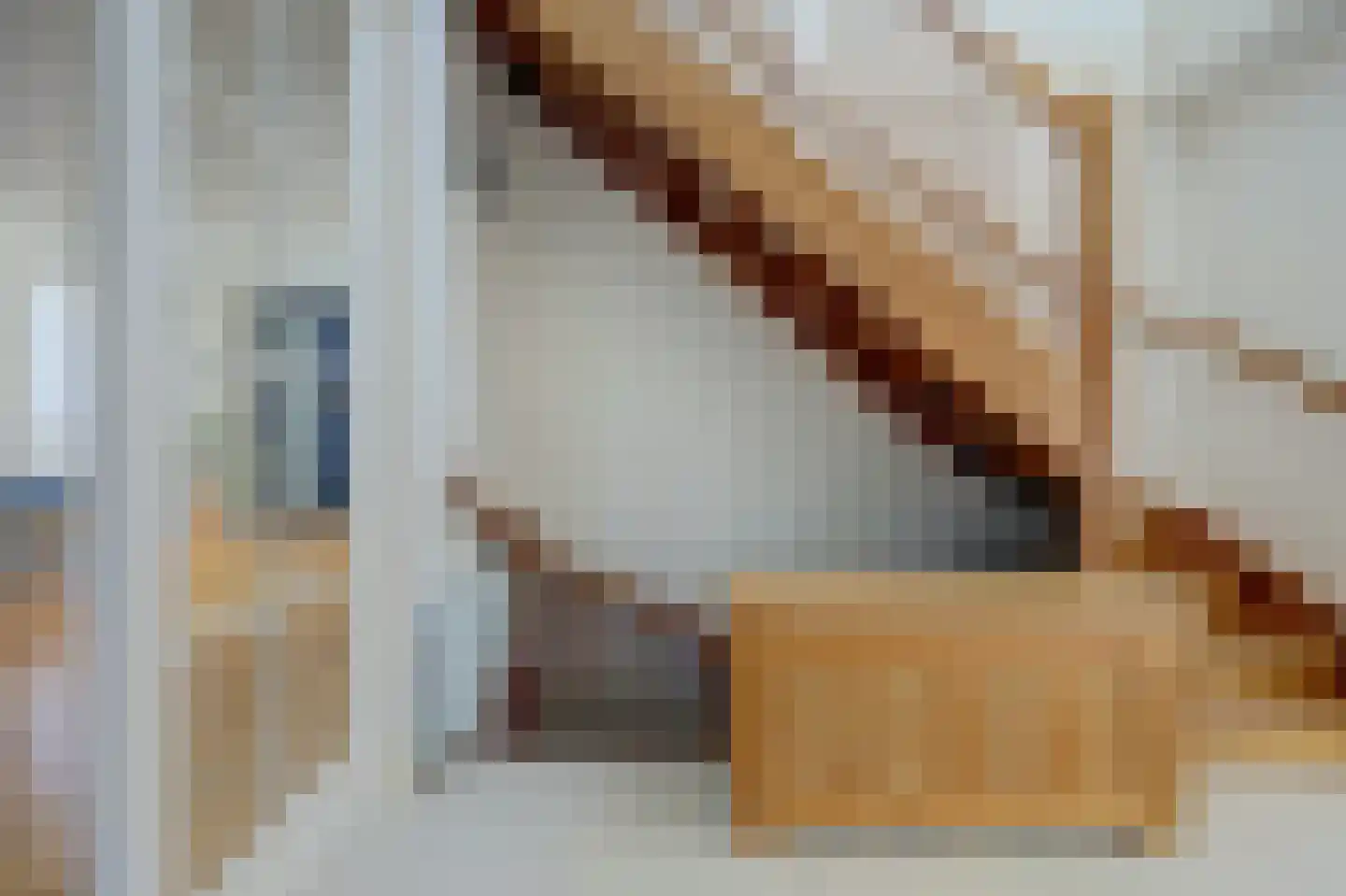 Abdis Clarahof 2 Den Haag thumbnail 9