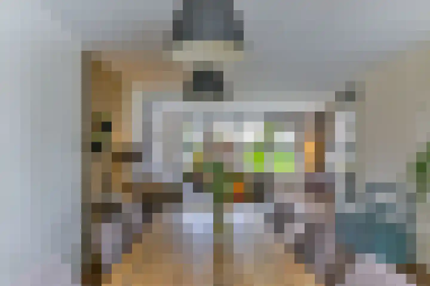 Abdis Clementinastraat 15 Roermond thumbnail 10