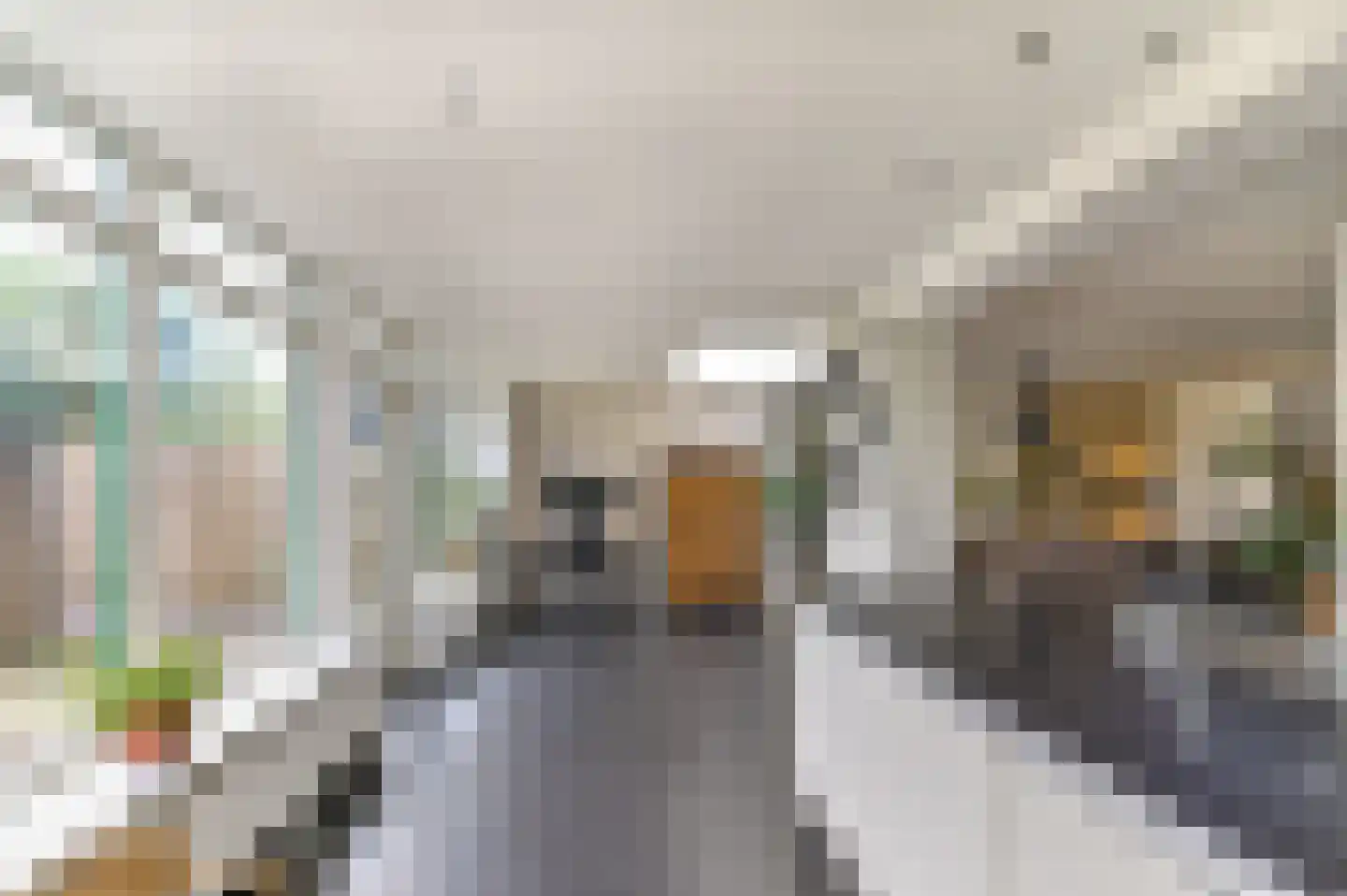 Abdis Clementinastraat 15 Roermond thumbnail 18
