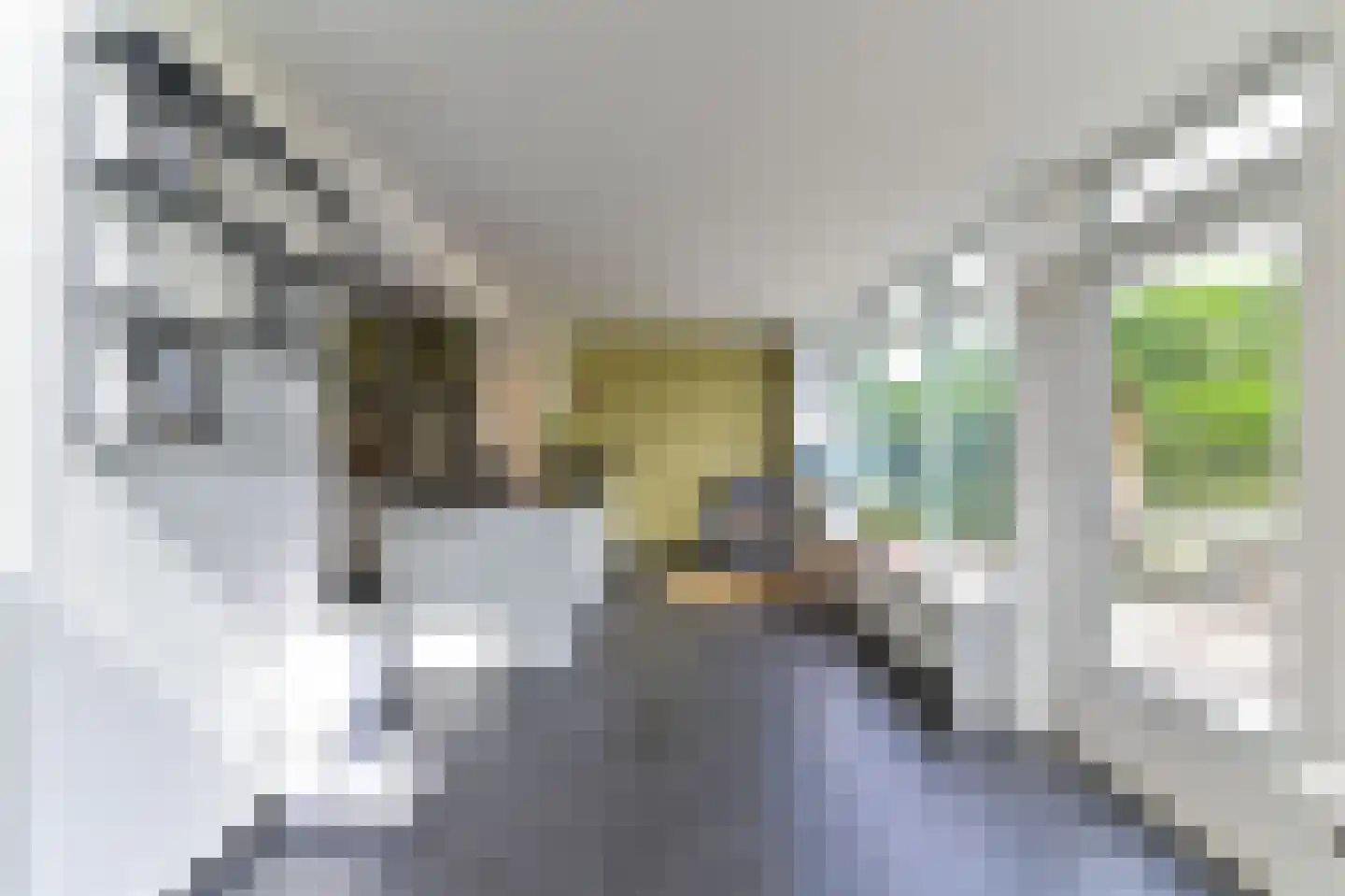 Abdis Clementinastraat 15 Roermond thumbnail 19