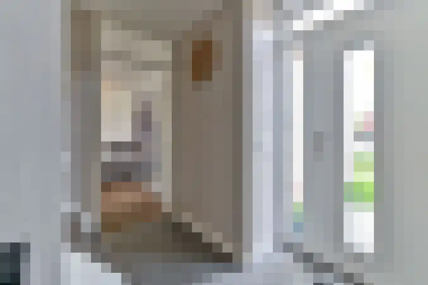 Abdis Clementinastraat 15 Roermond thumbnail 4