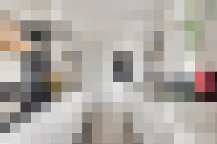 Abdis Clementinastraat 3 Roermond thumbnail 14