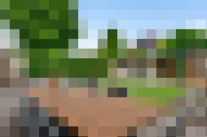Abdis Clementinastraat 3 Roermond thumbnail 34