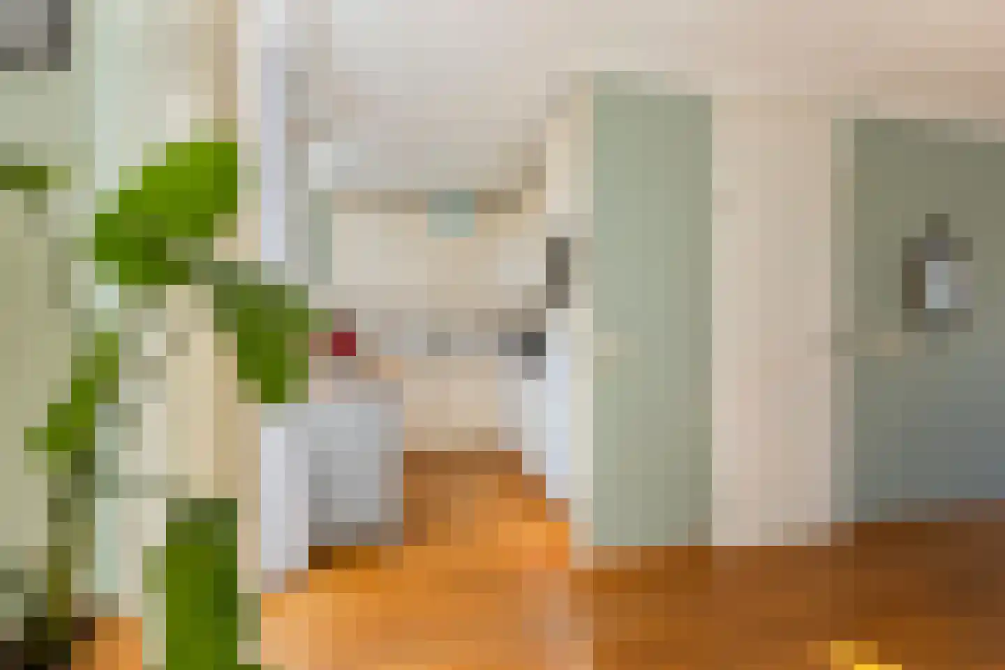 Abdis Clementinastraat 5 Roermond thumbnail 16