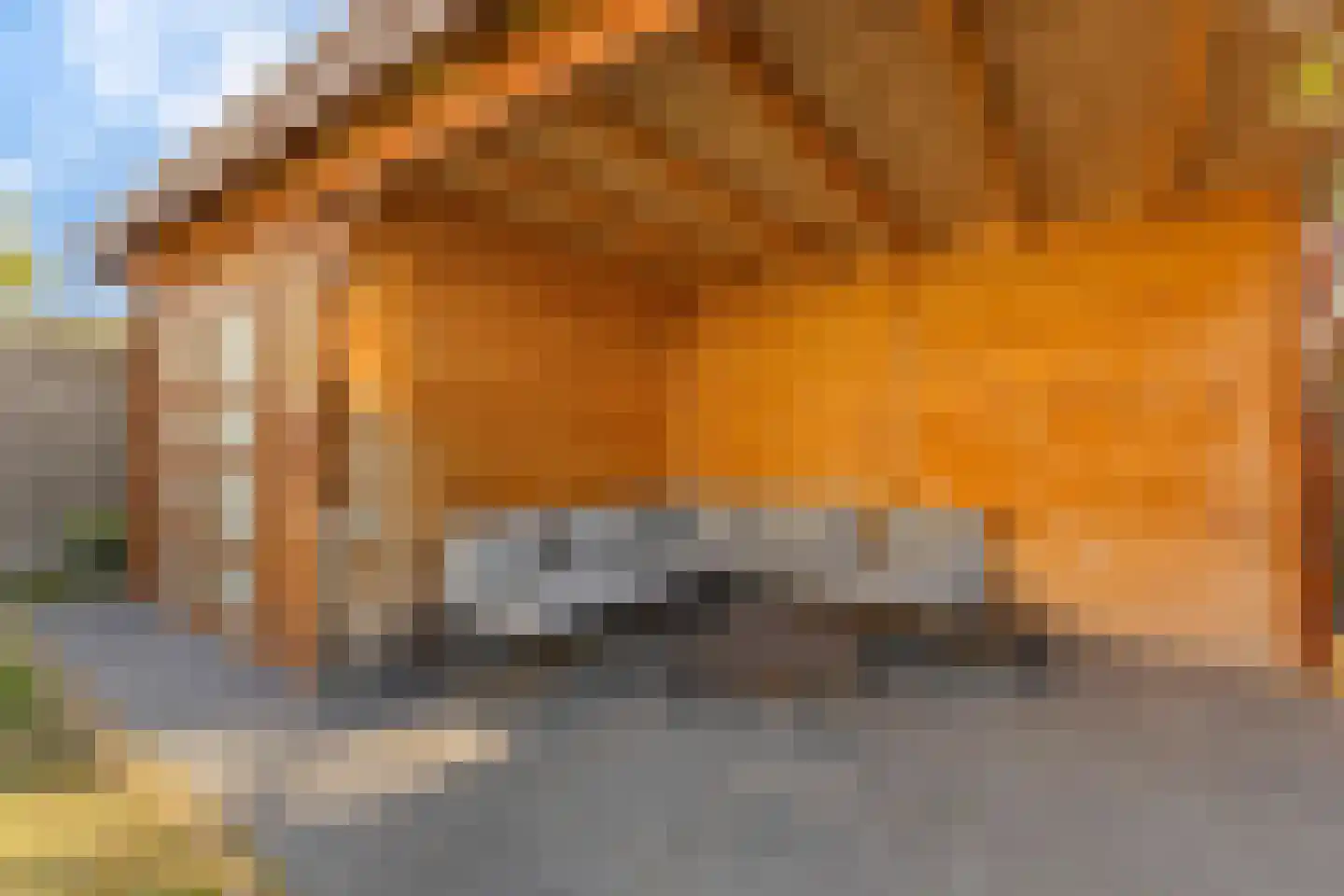 Abdis Clementinastraat 5 Roermond thumbnail 20