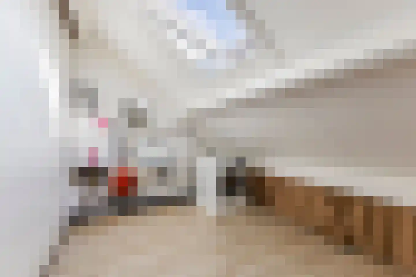 Abdis Clementinastraat 5 Roermond thumbnail 37