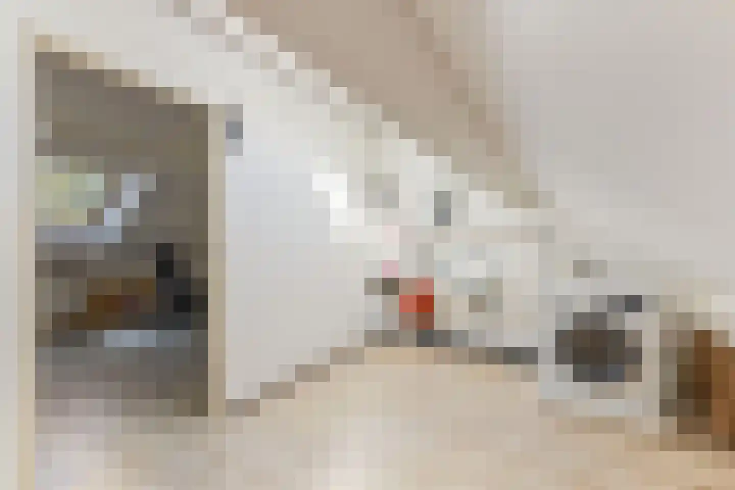 Abdis Clementinastraat 5 Roermond thumbnail 38