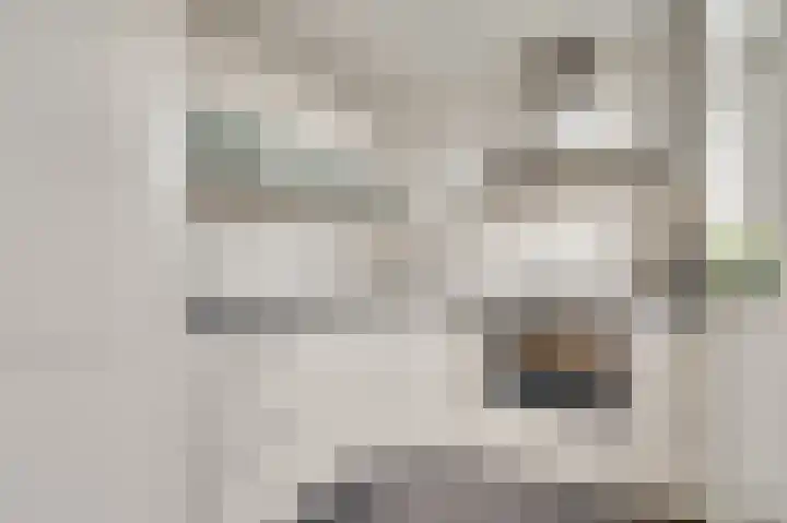 Abdis Clementinastraat 7 Roermond thumbnail 14