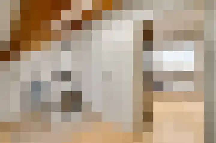 Abdis Clementinastraat 7 Roermond thumbnail 23