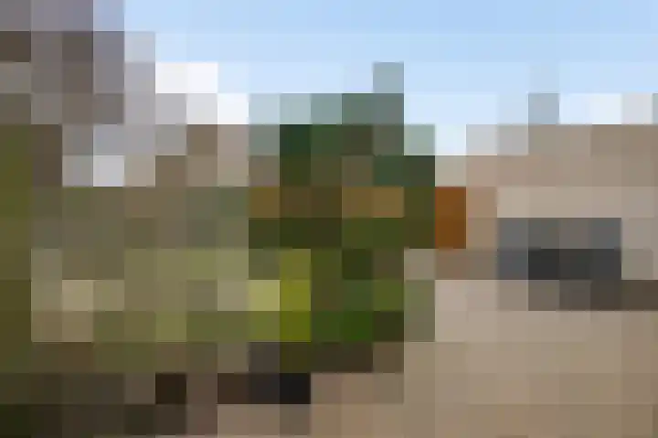 Abdis Clementinastraat 7 Roermond thumbnail 28