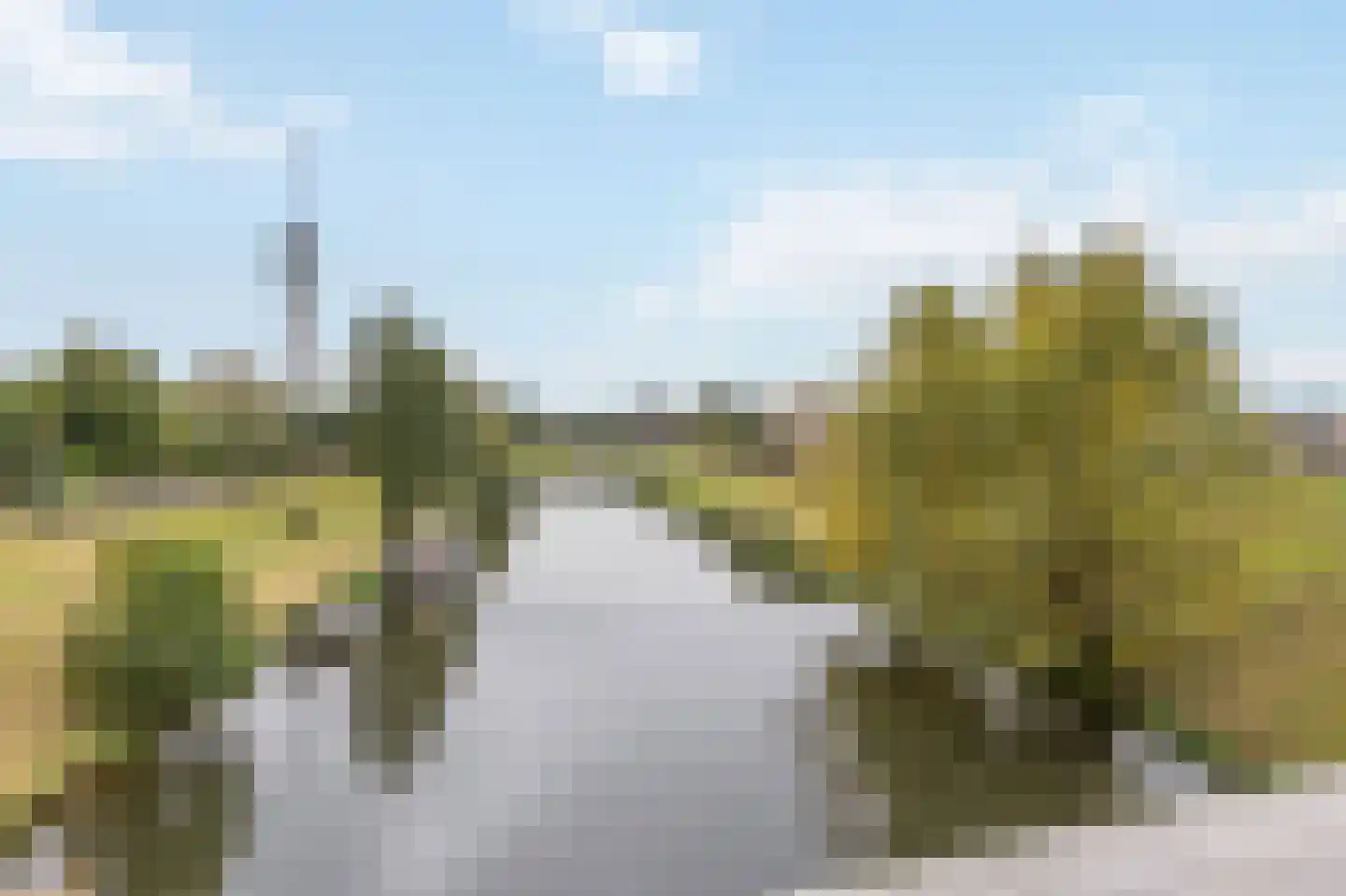 Abdis Elisabethstraat 1 Roermond thumbnail 38
