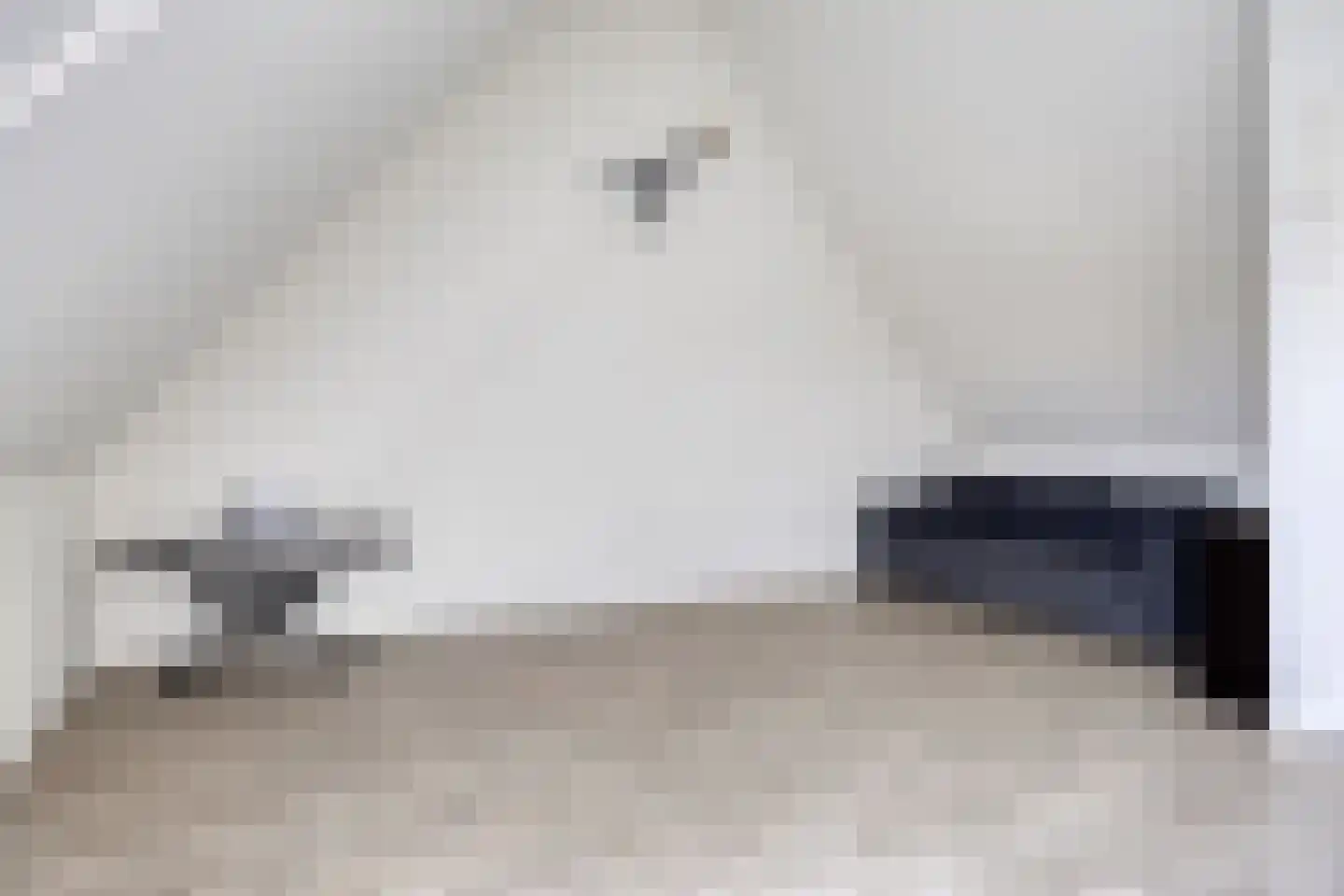 Abdis Eustachiastraat 4 Den Haag thumbnail 23