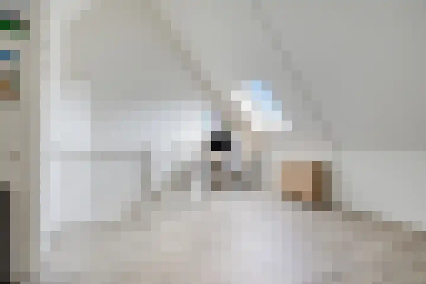 Abdis Eustachiastraat 4 Den Haag thumbnail 25