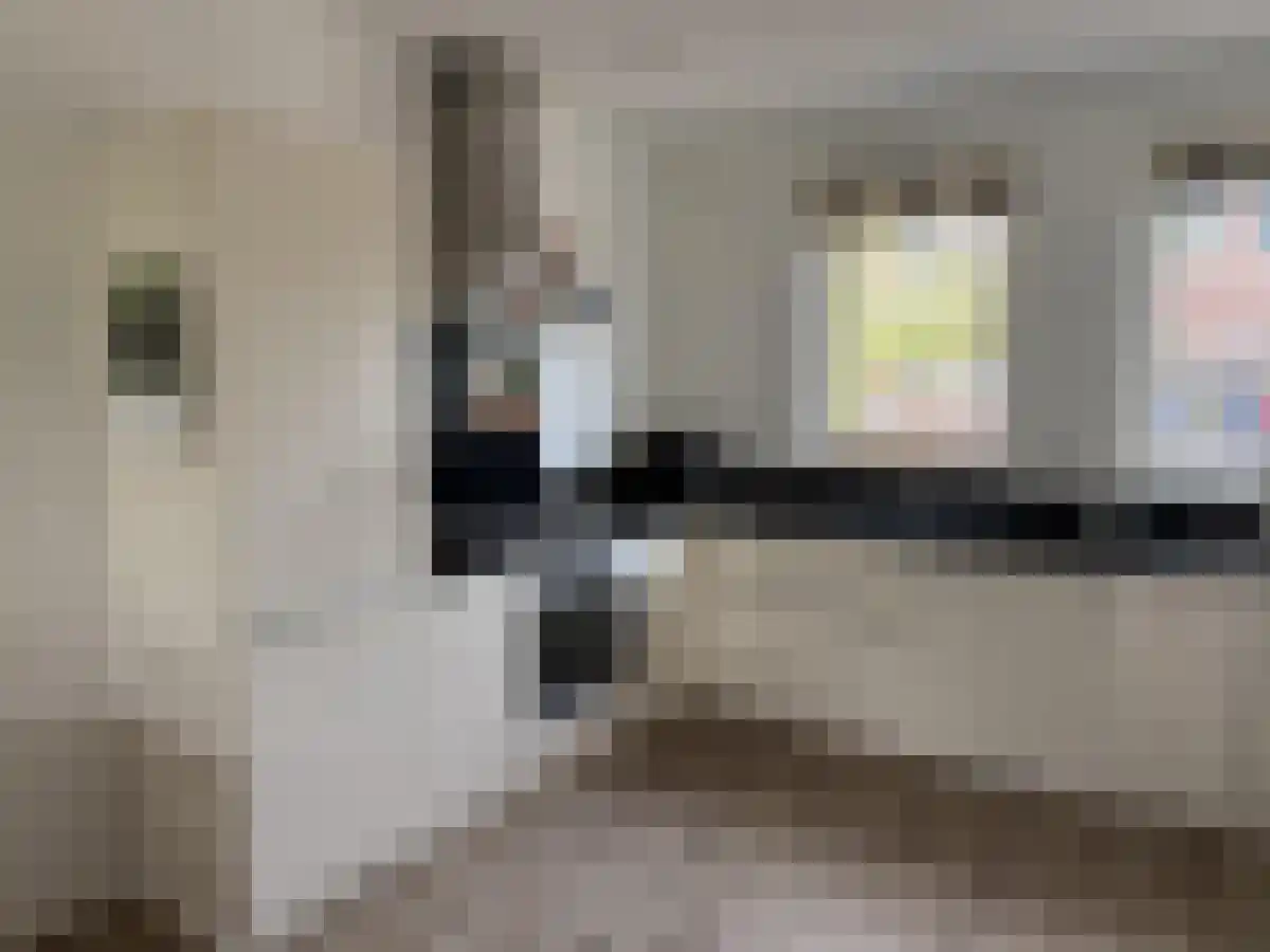 Abdis Eustachiastraat 4 Den Haag thumbnail 4