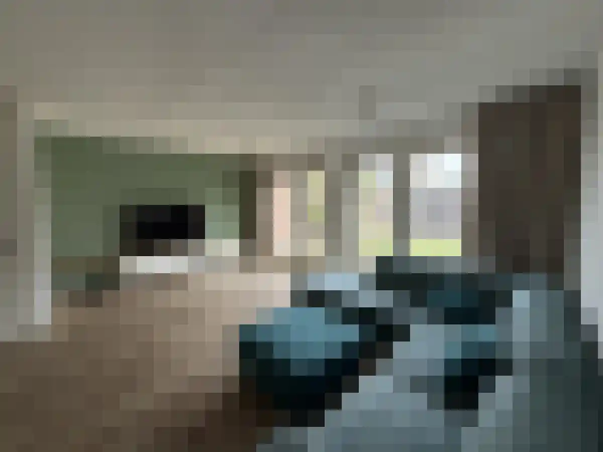 Abdis Eustachiastraat 4 Den Haag thumbnail 6