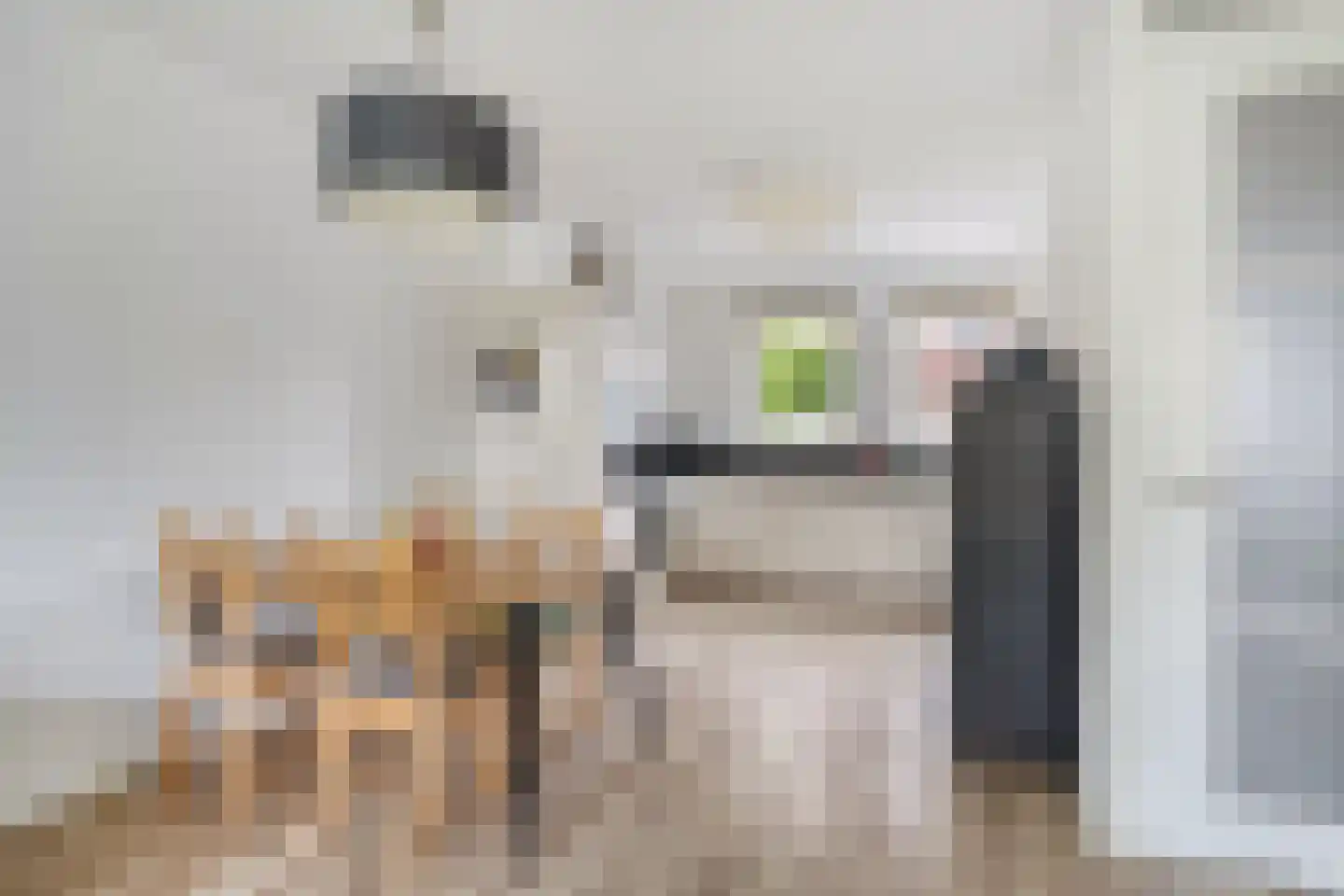 Abdis Eustachiastraat 4 Den Haag thumbnail 8