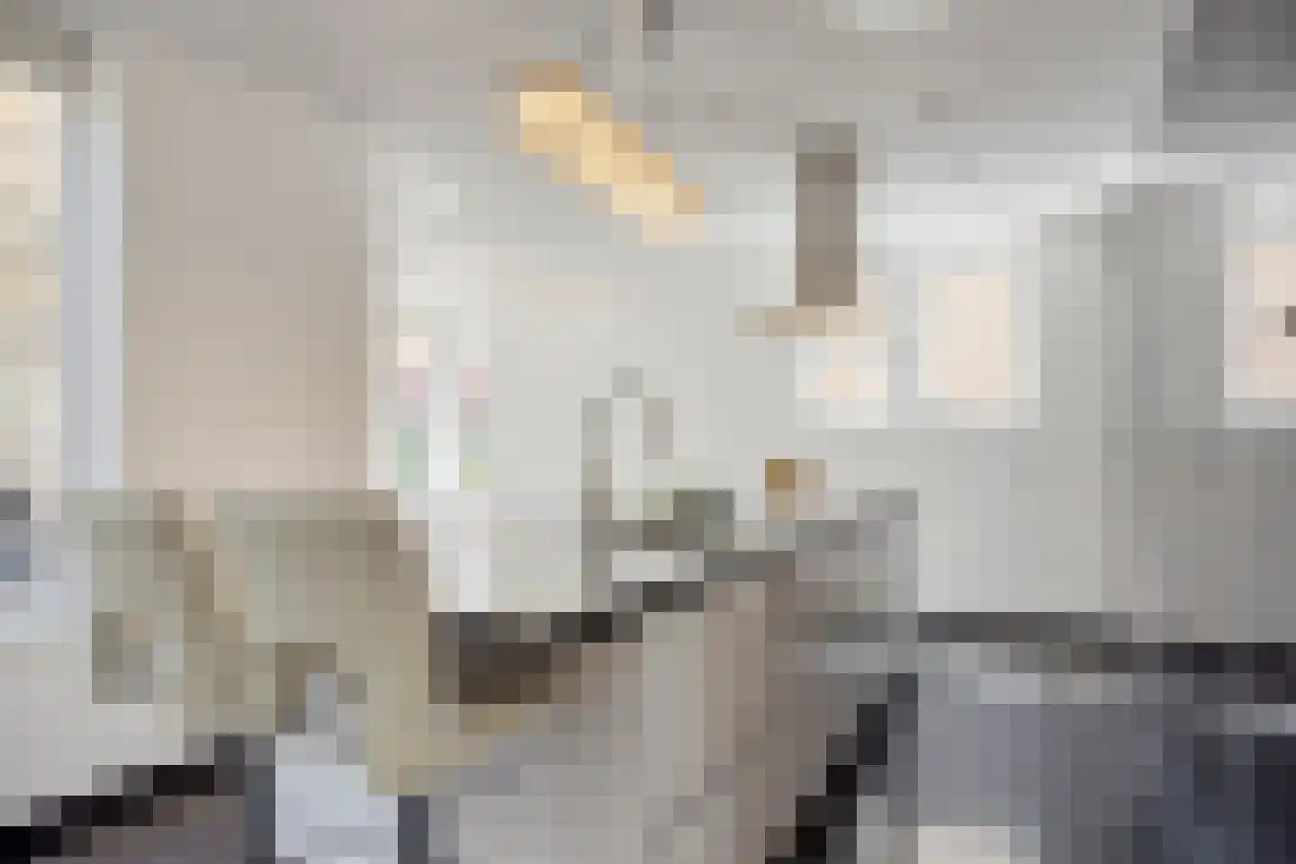 Abdis Evastraat 17 Den Haag thumbnail 15