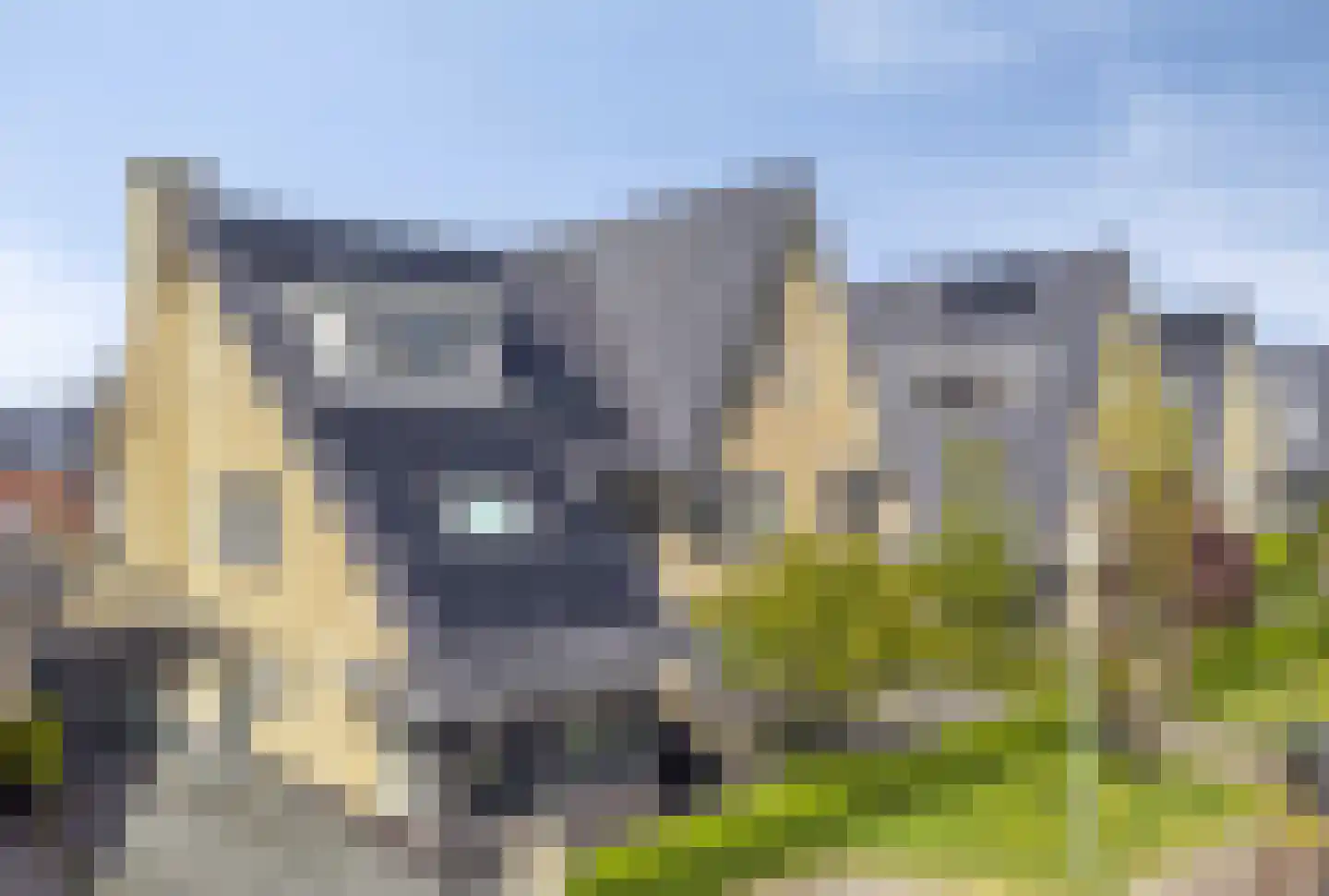 Abdis Evastraat 17 Den Haag thumbnail 36