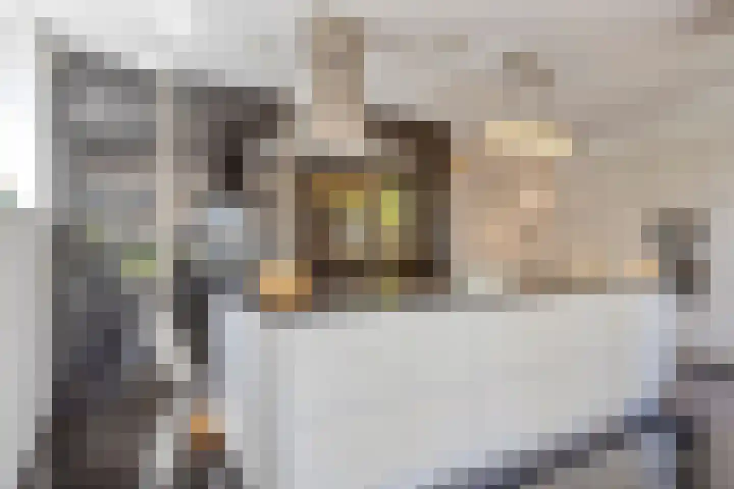 Abdis Evastraat 17 Den Haag thumbnail 5