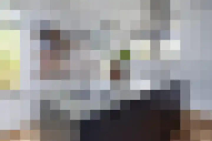 Abdis Evastraat 3 Den Haag thumbnail 10