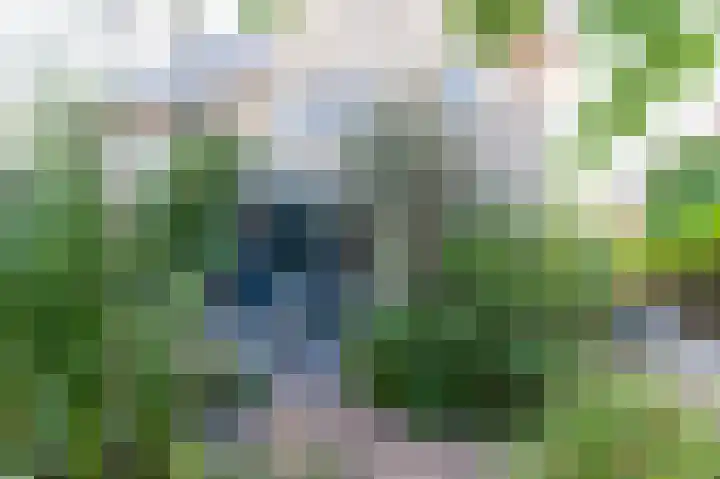 Abdis Evastraat 3 Den Haag thumbnail 19
