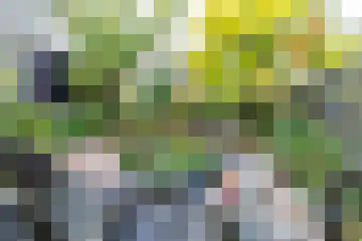Abdis Evastraat 3 Den Haag thumbnail 20