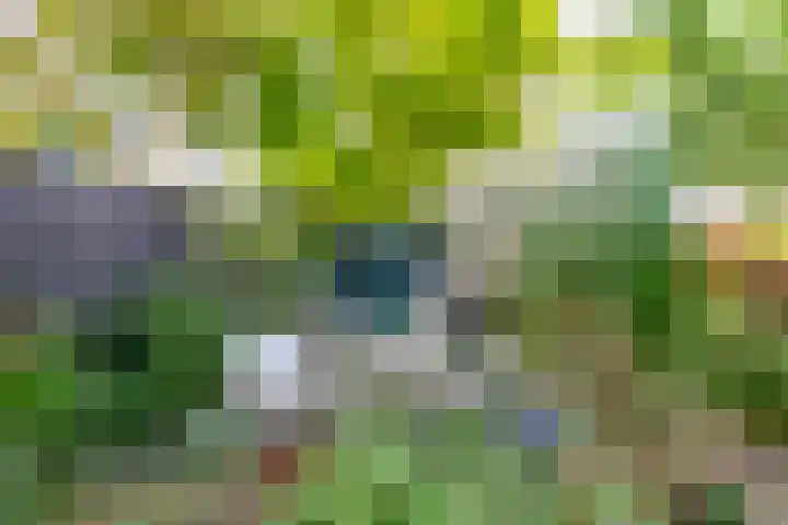 Abdis Evastraat 3 Den Haag thumbnail 23