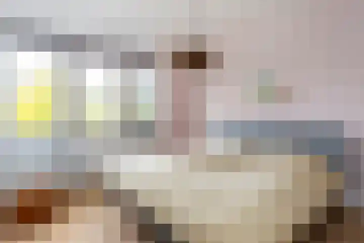 Abdis Evastraat 3 Den Haag thumbnail 26