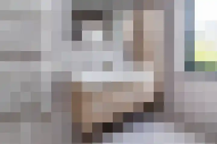 Abdis Evastraat 3 Den Haag thumbnail 32
