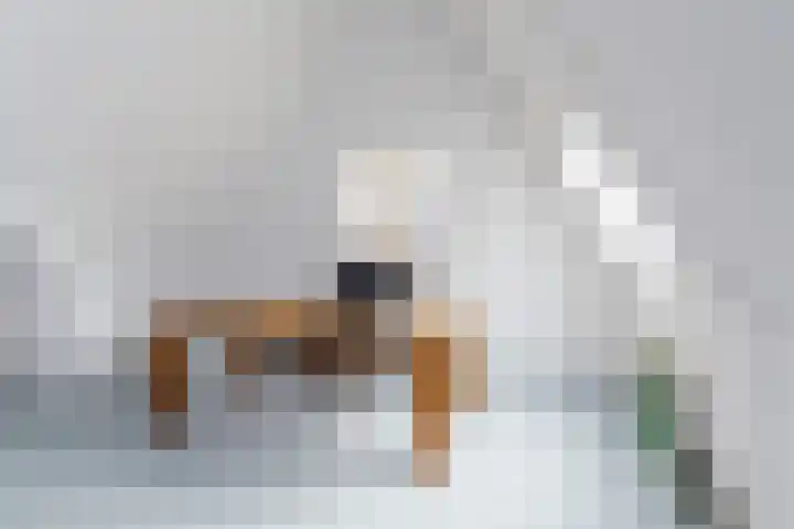 Abdis Evastraat 3 Den Haag thumbnail 36