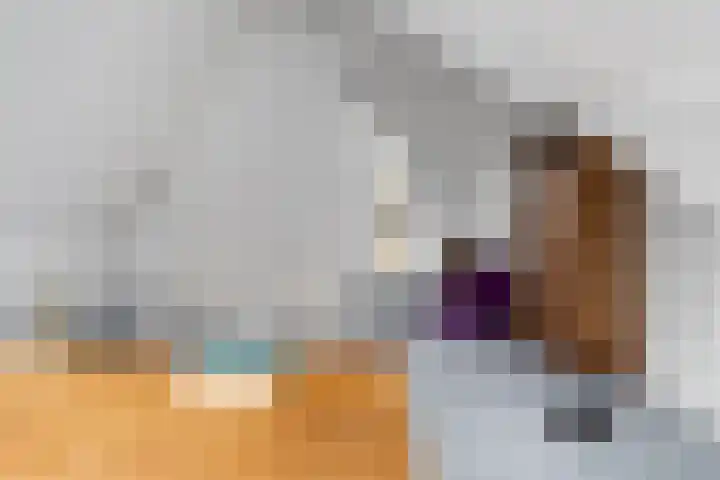 Abdis Evastraat 3 Den Haag thumbnail 39