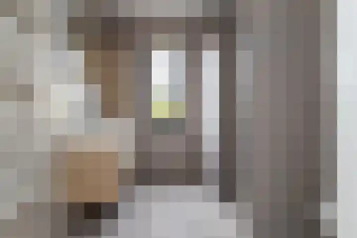 Abdis Evastraat 3 Den Haag thumbnail 4