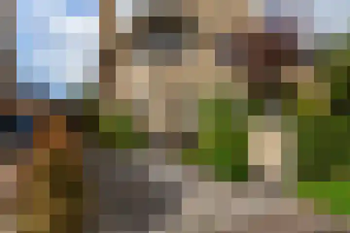 Abdis Evastraat 3 Den Haag thumbnail 42
