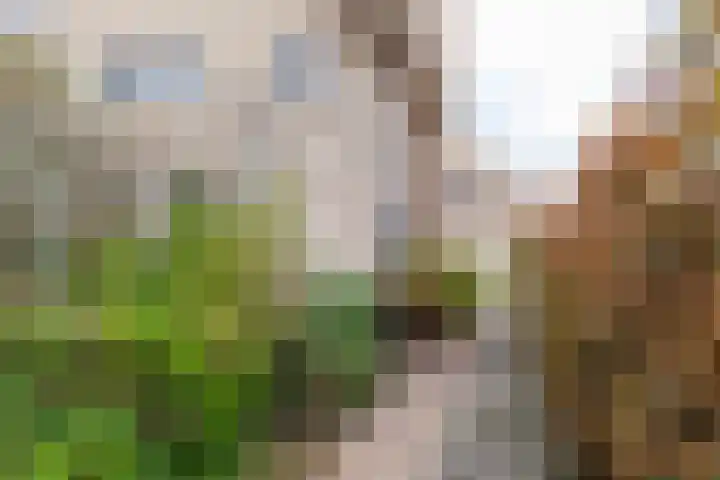 Abdis Evastraat 3 Den Haag thumbnail 43