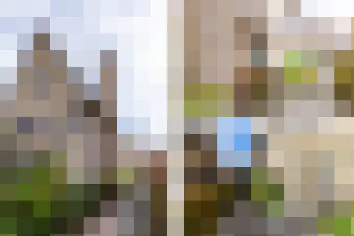 Abdis Evastraat 3 Den Haag thumbnail 44