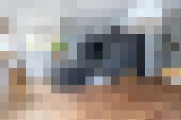 Abdis Evastraat 3 Den Haag thumbnail 6