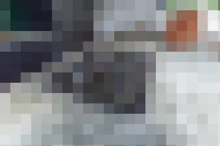 Abdis Evastraat 3 Den Haag thumbnail 8