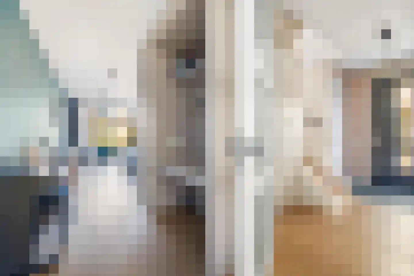 Abdis Evastraat 31 Den Haag thumbnail 13