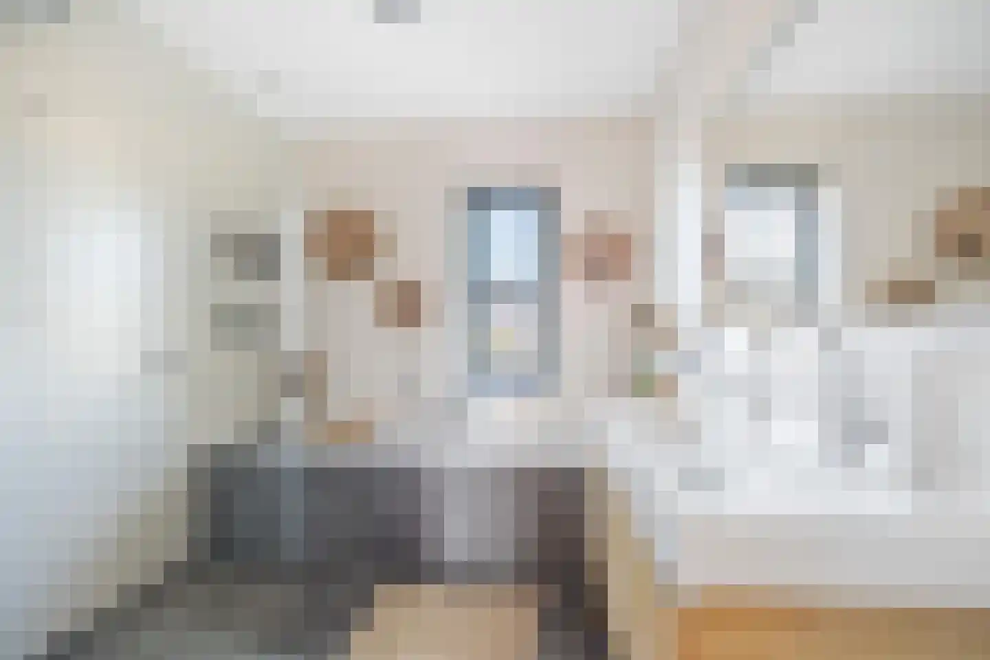 Abdis Evastraat 31 Den Haag thumbnail 34
